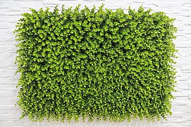 索尼对棒鸡不太满意：开发预算和进度还有改进空间